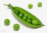 Peas clipart single, Picture #3065107 peas clipart single